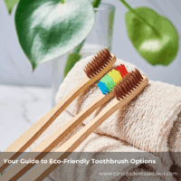 Your Guide to Eco-Friendly Toothbrush Options