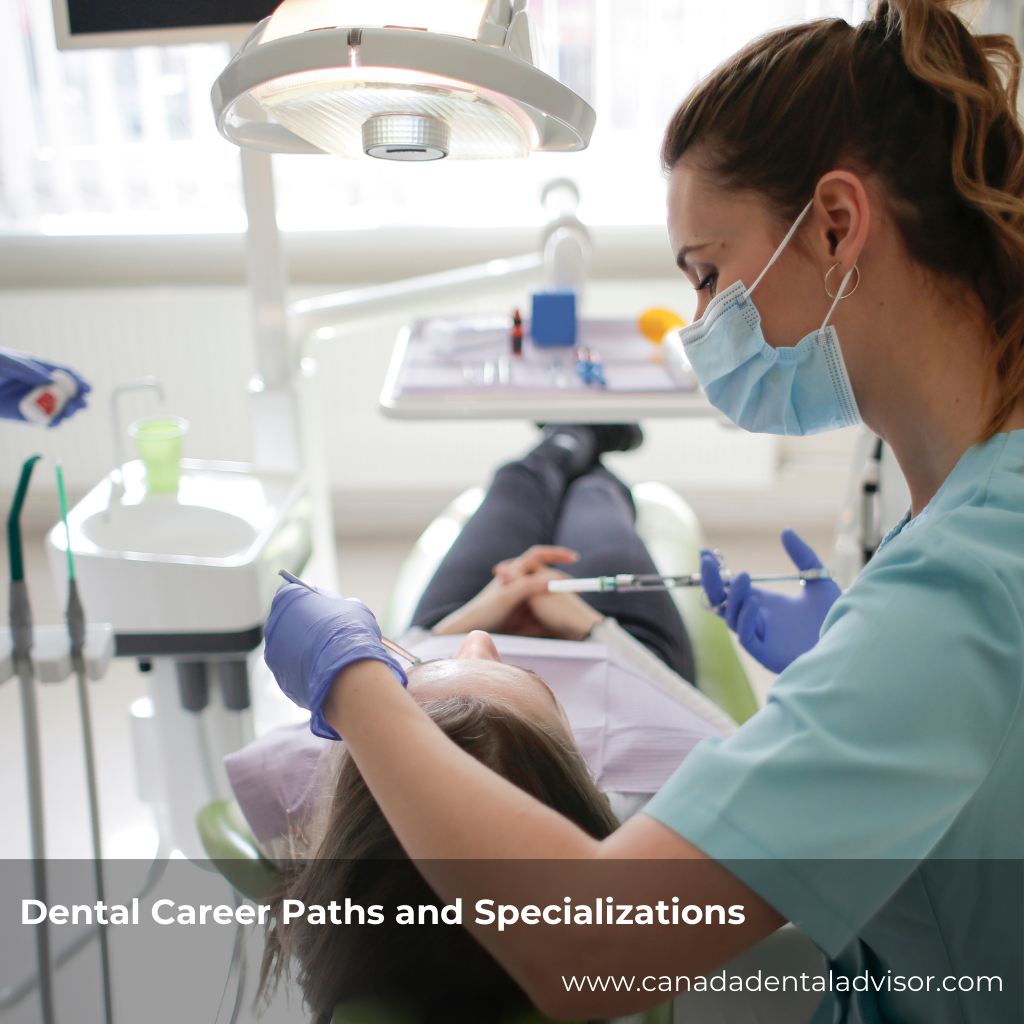 Dental Career Paths and Specializations