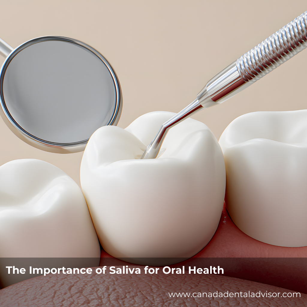 The Importance of Saliva for Oral Health